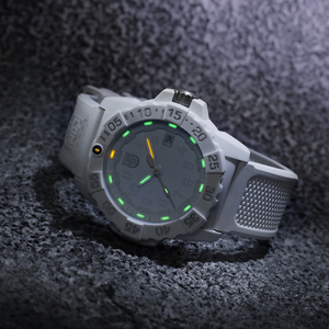 Часы Luminox Navy SEAL XS.3507.WO
