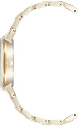 Годинник Anne Klein AK/1412IRGB