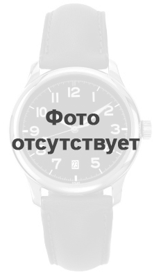 

Часы CASIO GST-W300G-1A2ER, GST-W300G-1A2ER