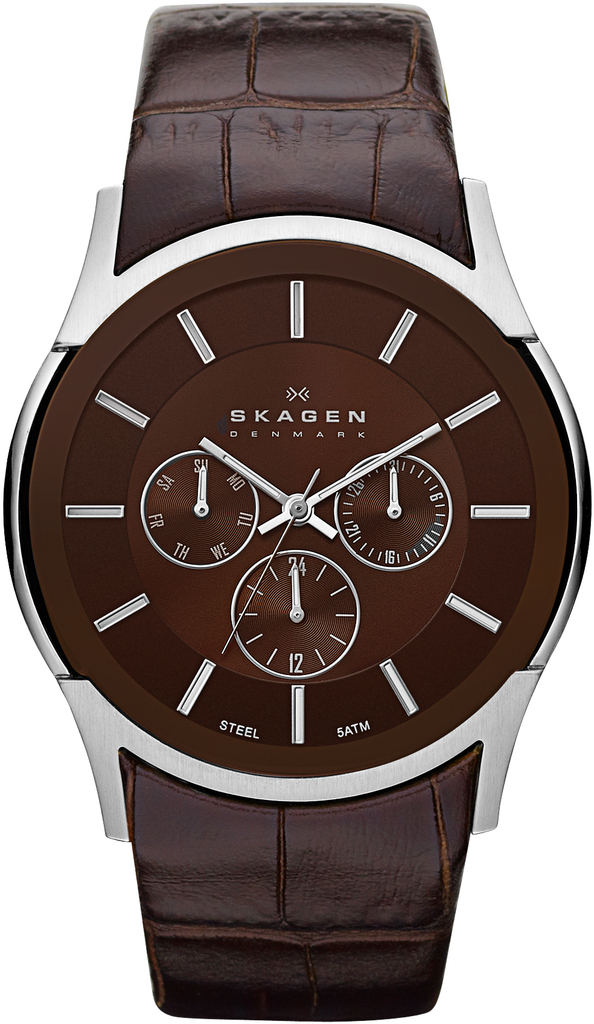 

Часы SKAGEN SKW6001, SKW6001