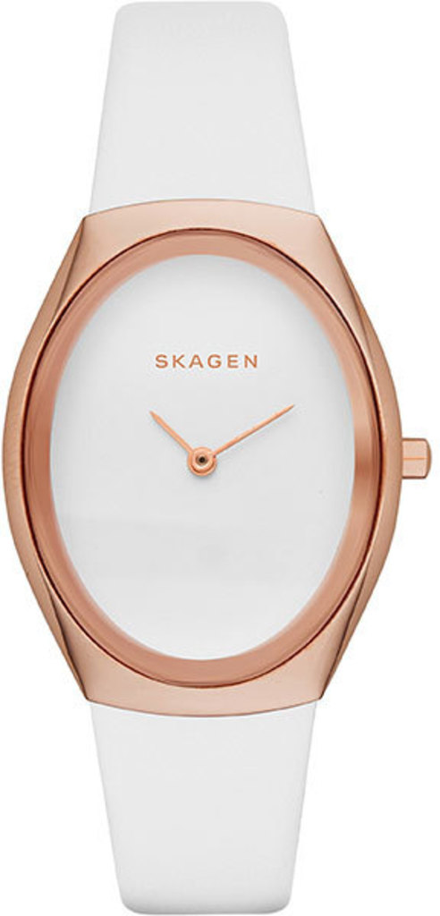 

Часы SKAGEN SKW2296, SKW2296
